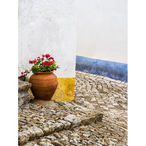 Eggers, Julie 아티스트의 Portugal-Obidos-Red geranium growing in a terra cotta pot next to the entrance of a home in the his작품입니다.